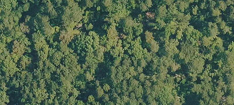 Residential Land Lot