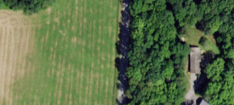 Country Estate with Horse Facilities