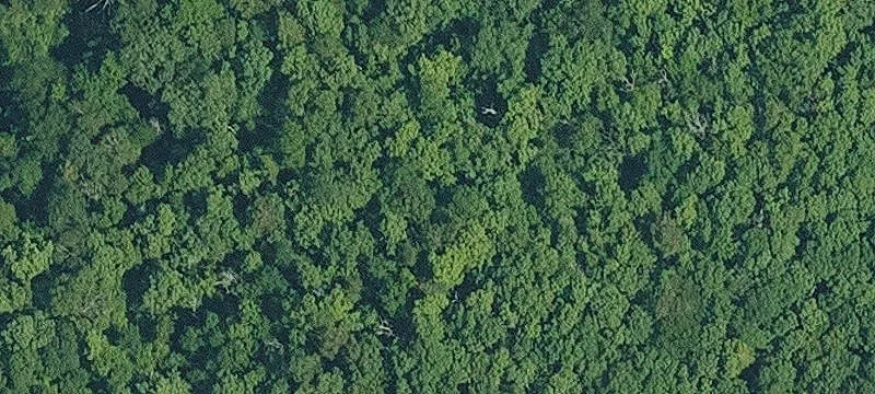 Secluded Off-Grid Hunting Land