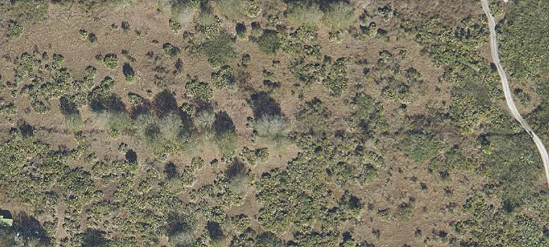 High-and-Dry Rural Land Parcel