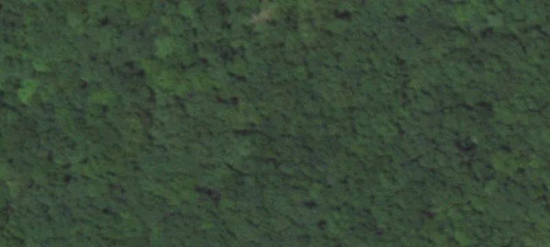 Agricultural Land and Hunting Retreat