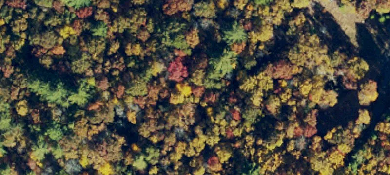 Mountain Recreation Land Lot