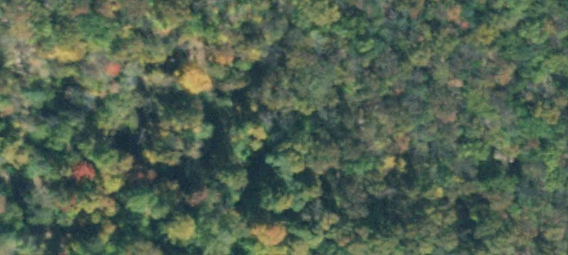 Recreational Farm Property
