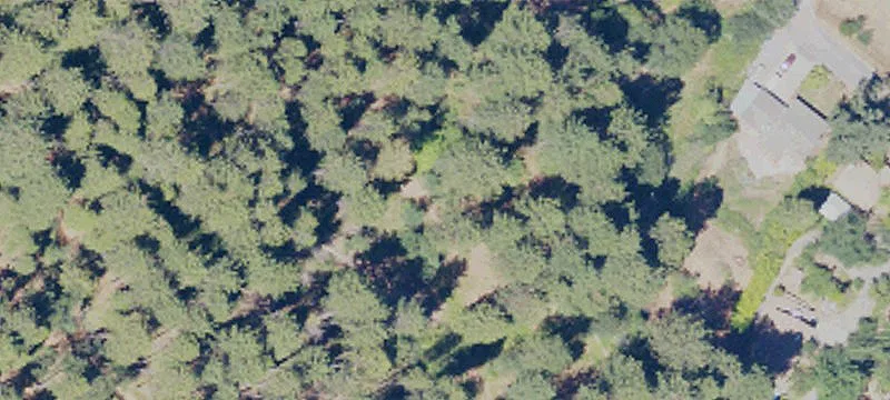 Residential Subdivision Land