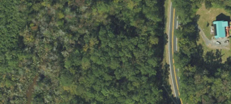 Wooded Coastal Homesite Parcel