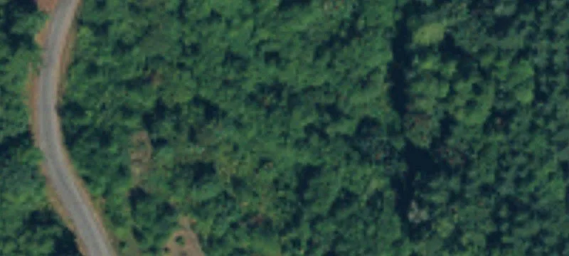 Forested Residential Development Land