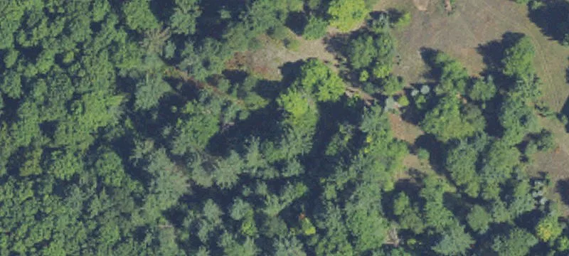 Wooded Residential Building Lot