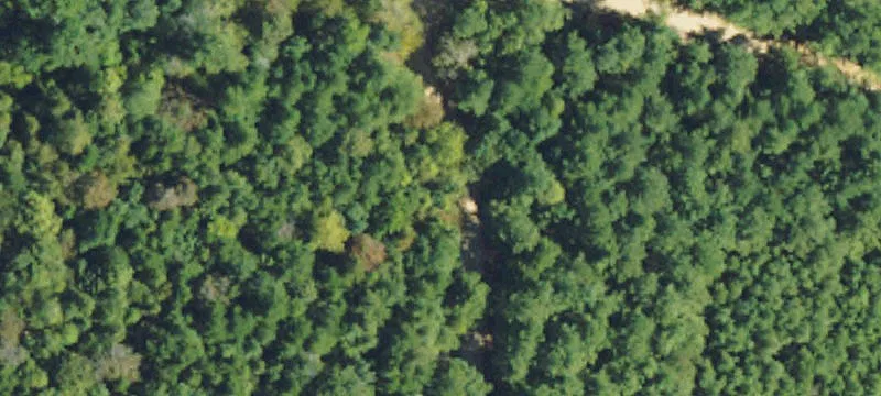 Secluded Cabin Retreat Land