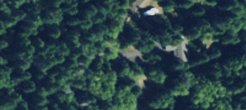 Wooded Residential Building Lot