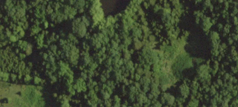 Recreation & Hunting Land with Two Ponds