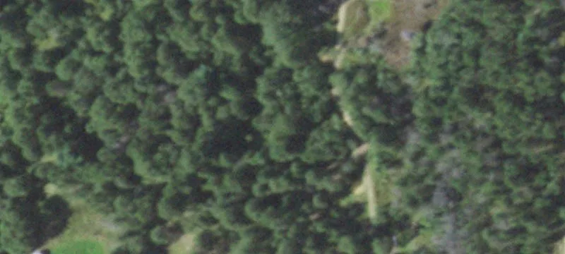 Wooded Hunting and Recreation Land