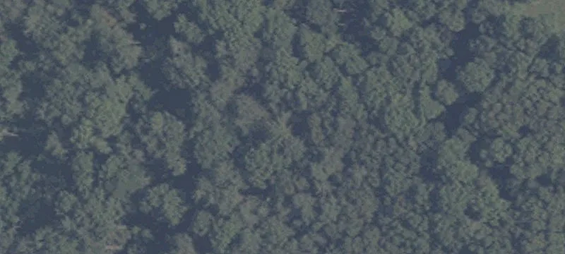 Wooded Residential Land Parcels