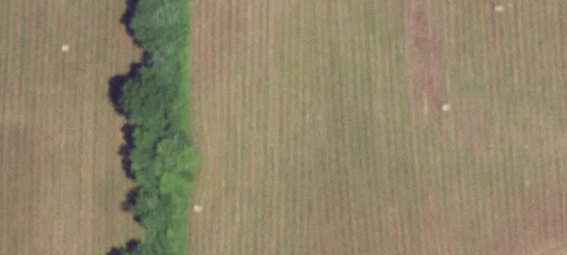 Residential Land Tract Subdivision
