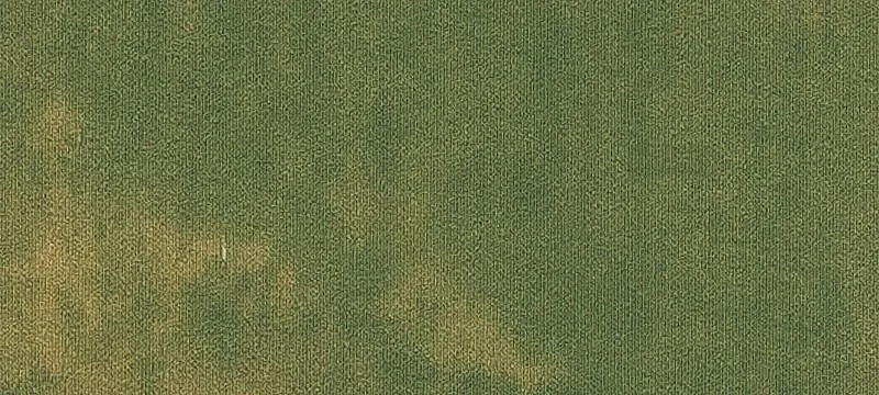 Ready-to-Build Home Lot