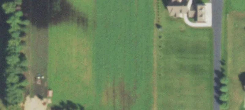 Agricultural Land with Build Site