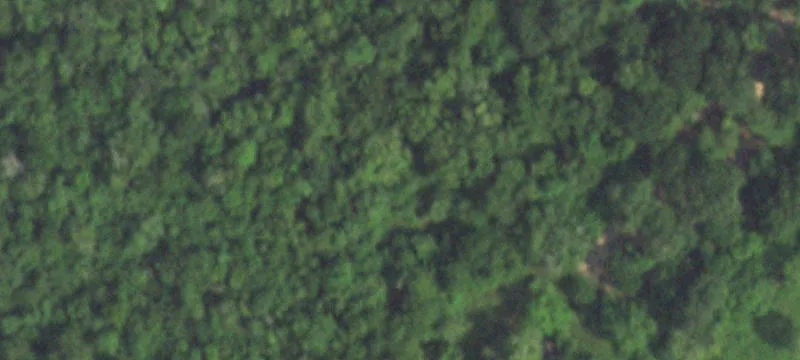 Wooded Land Parcel