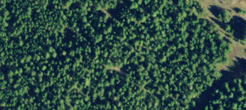 Secluded Timberland with Homesite