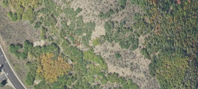 Vacant Land Parcel with Open-Space Views