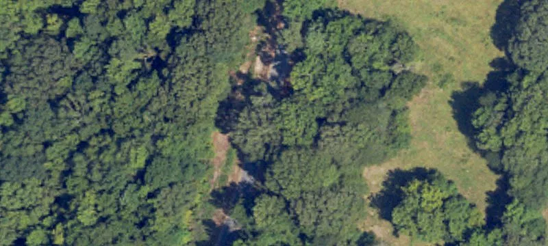 Turn-Key Hunting Recreational Land