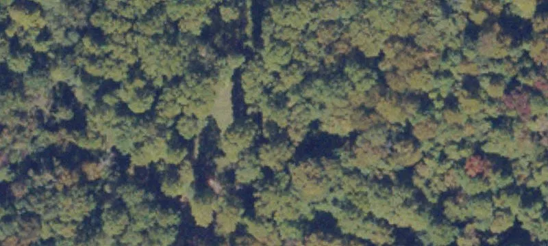 Forested Land with Creek