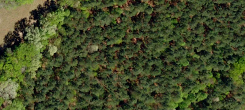 Wooded Residential Lot