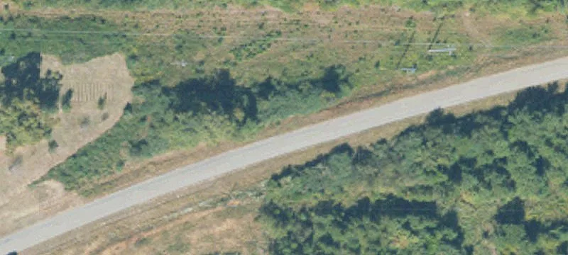 Pine Timberland with Road Frontage
