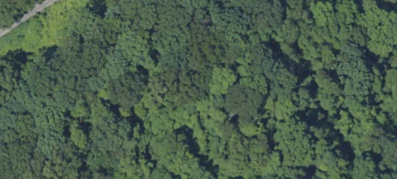 Wooded Hunting Land Acreage