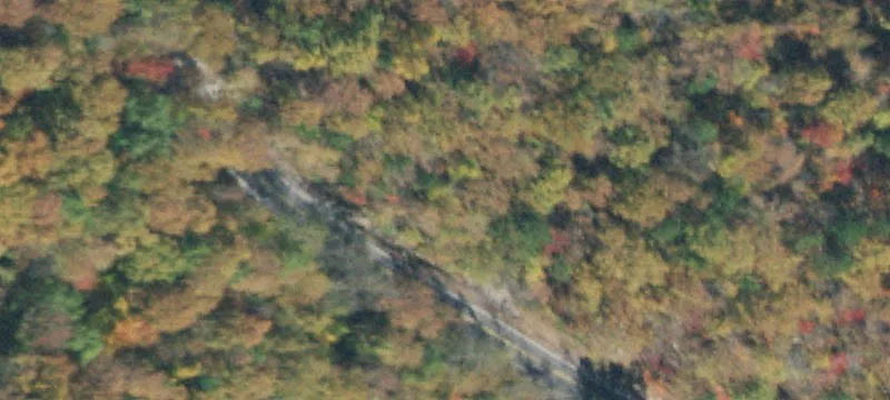 Wooded Residential Land Lot