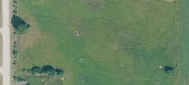 Recreational Hunting Land with CRP