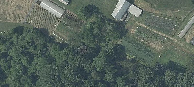 Farmhouse with Agricultural Outbuildings