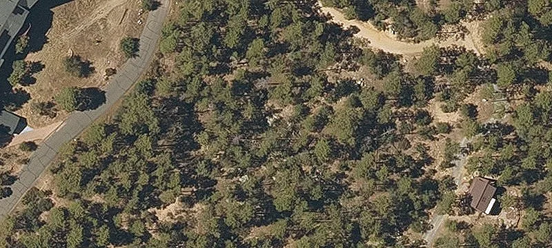 Treed Residential Development Lot