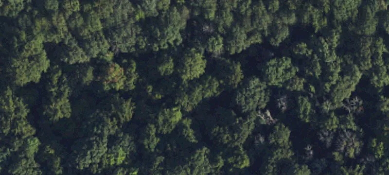 Contiguous Residential Land Lots
