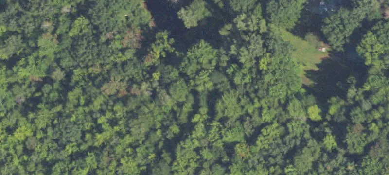 Wooded Land Parcels