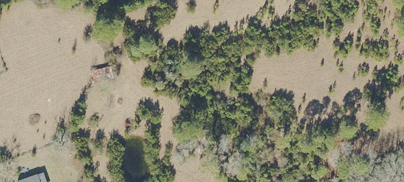 Land with Two Ponds and Fencing
