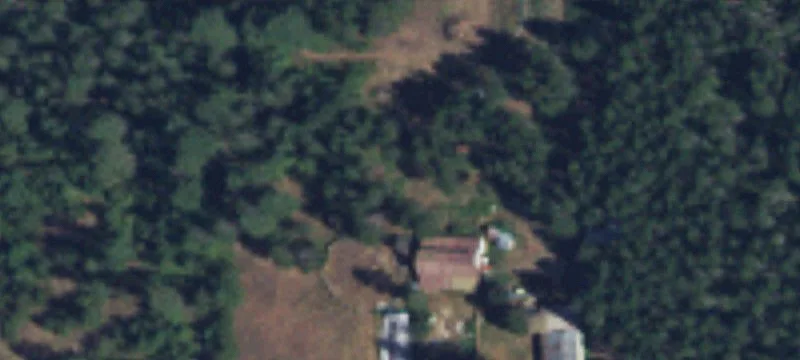 Timbered Residential Land Parcel