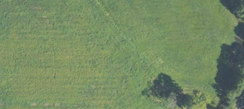 Developable Residential Land Parcel