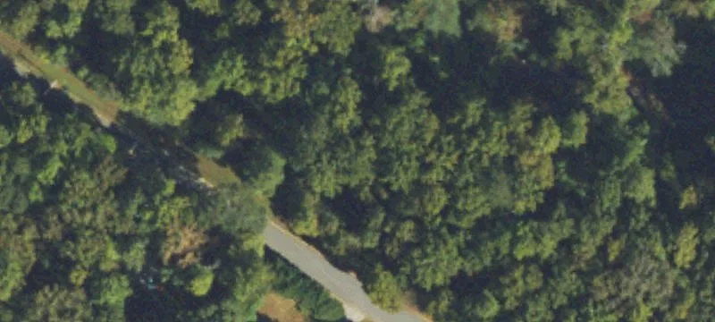 Wooded Custom Home Lot