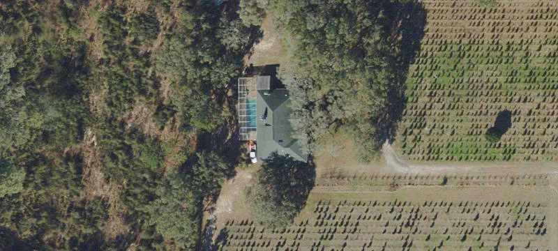 Christmas Tree Farm Business