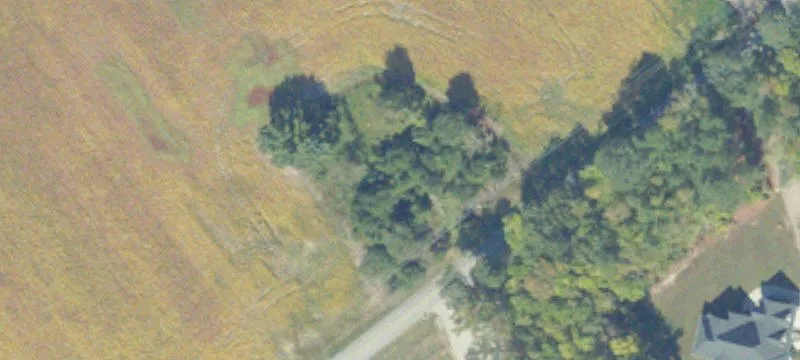 Wooded Homesite for Custom Build