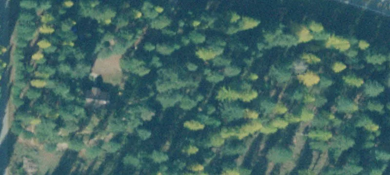 Timbered Residential Land Parcel