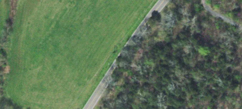 Wooded Residential Land Parcel