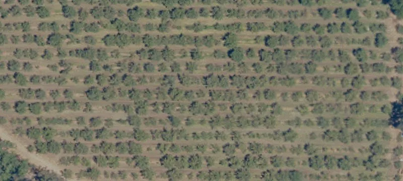 Agricultural Property with Solar