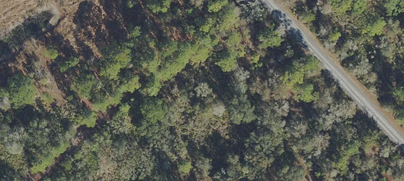 Residential Homesite Land Parcel