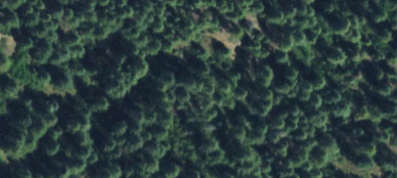 Wooded Mountain View Land Parcel