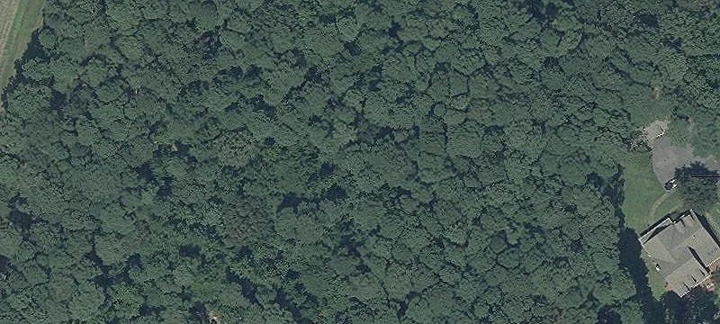 Wooded Residential Land Lot