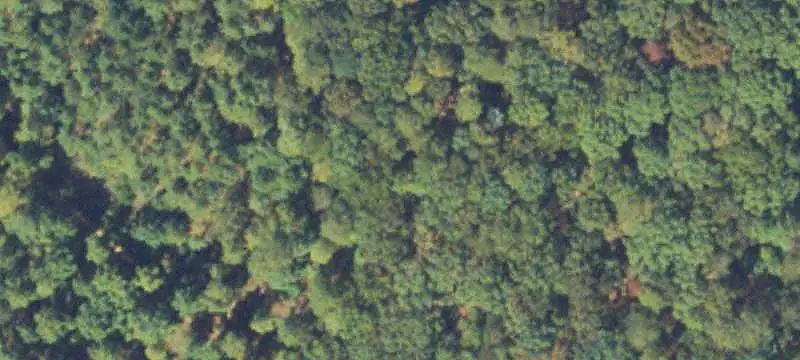 Waterfront Development Land Tract