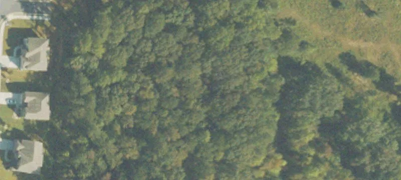 Wooded Land Parcel with Multiple Access