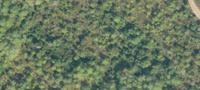 Partially Cleared Residential Land