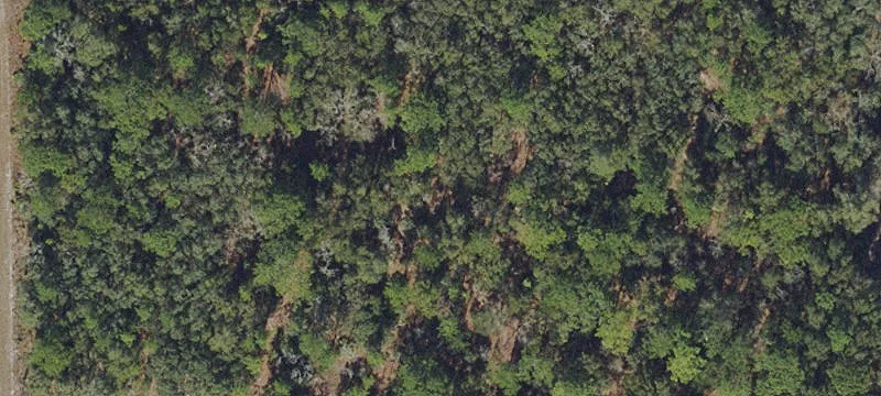 Vacant Land Home Site