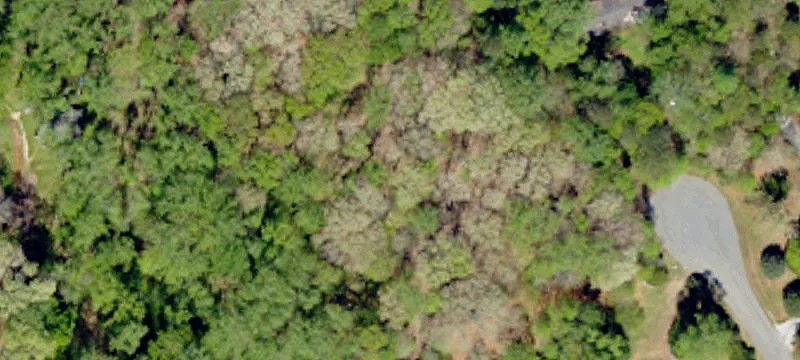 Wooded Recreation Land with Camp